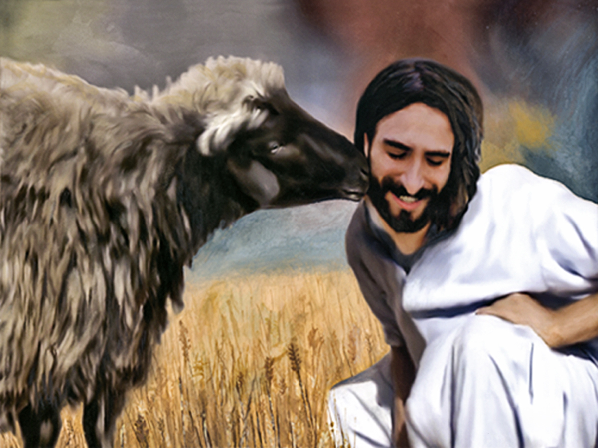 A black-faced sheep with a thick gray-brown fleece presses its muzzle to the cheek of a smiling, bearded man in a white robe, seated in a golden wheat field under a soft blue-gray sky. The Kiss, a painting by Jordan A. Cook.